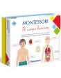 Montessori El Cuerpo Humano