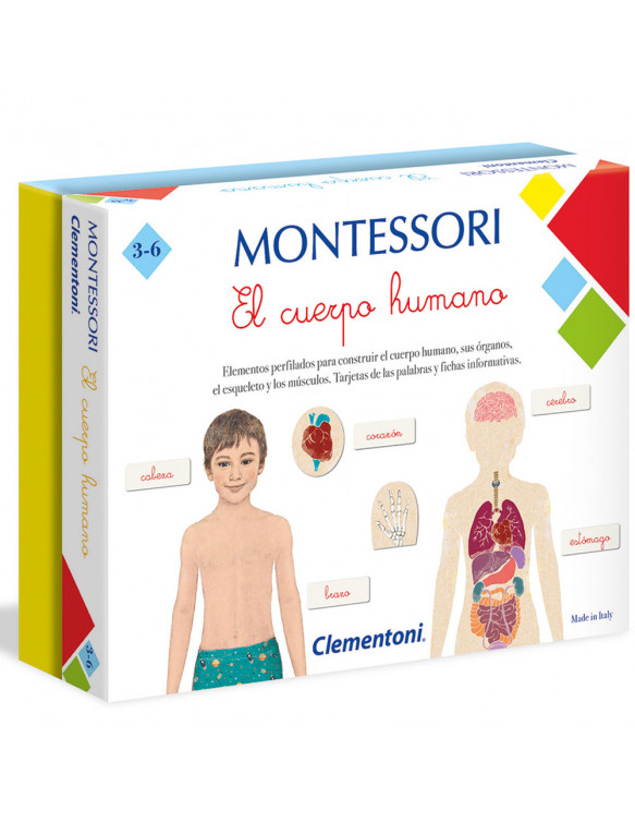 Montessori El Cuerpo Humano